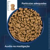 Ração Origens Para Labrador E Golden Adultos 15Kg - 1 Unidade
