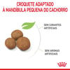 Ração Para Cães Filhotes Royal Canin Maxi Junior - 15Kg - 15 Kilos