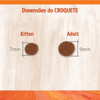 Ração Para Gatos Adultos N&D Pumpkin Tilápia E Laranja - 400G