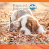 Ração Para Gatos Adultos N&D Pumpkin Tilápia E Laranja - 400G