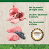 Ração Para Gatos Filhotes Frango E Romã N&D Prime - 400G - 400 Gramas