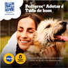 Ração Pedigree Cães Adultos Médios E Grandes Carne, Frango E Cereais - 15Kg - 900 Gramas