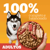 Ração Pedigree High Protein Para Cães Adultos Sabor Carne E Frango - 2,7Kg - 2,7 Kilos