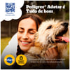 Ração Pedigree Para Cães Filhotes De Porte Médio E Grande Sabor Carne, Frango E Cereais - 2,7Kg - 900 Gramas