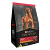 Ração Pro Plan Para Cães Adultos De Raças Grandes Frango - 15Kg - 2,5 Kilos