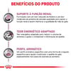 Ração Renal Special Royal Canin Veterinary Diet Para Gatos Com Insuficiência Renal - 400G - 400 Gramas