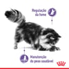 Ração Royal Canin Controle Do Apetite Para Gatos Adultos - 1,5Kg - 400 Gramas