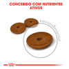 Ração Royal Canin Cuidado Digestivo Para Gatos Adultos - 1,5Kg - 400 Gramas