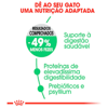 Ração Royal Canin Cuidado Digestivo Para Gatos Adultos - 1,5Kg - 400 Gramas