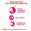 Ração Royal Canin Exigent Para Gatos Adultos - 10,1Kg - 400 Gramas