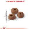 Ração Royal Canin Fit Para Gatos Adultos - 7,5Kg - 400 Gramas