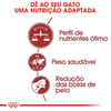 Ração Royal Canin Fit Para Gatos Adultos - 7,5Kg - 400 Gramas