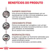 Ração Royal Canin Gastrointestinal Puppy Para Filhotes - 2Kg
