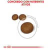 Ração Royal Canin Hair & Skin Care Para Gatos - 1,5Kg - 1,5 Kilos