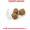 Ração Royal Canin Indoor 7+ Para Gatos - 1,5Kg - 1,5 Kilos