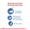 Ração Royal Canin Indoor 7+ Para Gatos - 1,5Kg - 1,5 Kilos