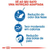 Ração Royal Canin Indoor Para Gatos Adultos - 1,5Kg - 400 Gramas