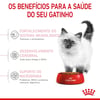 Ração Royal Canin Kitten Para Gatos Filhotes Até 12 Meses - 10,1Kg - 400 Gramas