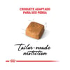 Ração Royal Canin Kitten Persa Para Gatos Filhotes - 1,5Kg - 1,5 Kilos