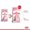Ração Royal Canin Kitten Sterilised Para Gatos Filhotes Castrados De 6 A 12 Meses - 400G - 400 Gramas