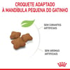 Ração Royal Canin Kitten Sterilised Para Gatos Filhotes Castrados De 6 A 12 Meses - 400G - 400 Gramas