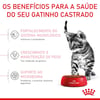 Ração Royal Canin Kitten Sterilised Para Gatos Filhotes Castrados De 6 A 12 Meses - 400G - 400 Gramas