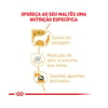 Ração Royal Canin Maltês Adulto - 2,5Kg - 2,5 Kilos