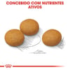 Ração Royal Canin Maxi Dermacomfort Para Cães Adultos E Idosos De Porte Grande - 10,1Kg