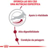Ração Royal Canin Medium Adult 7+ Para Cães Adultos De Porte Médio 15Kg - 15Kg