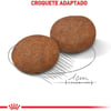 Ração Royal Canin Medium Adult 7+ Para Cães Adultos De Porte Médio 15Kg - 15Kg