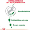 Ração Royal Canin Mini Adult 8+ Para Cães Adultos - 7,5Kg - 2,5 Kilos