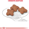 Ração Royal Canin Mini Adult 8+ Para Cães Adultos - 7,5Kg - 2,5 Kilos