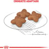 Ração Royal Canin Mini Adult Para Cães De Porte Pequeno - 1Kg - 1 Kilo