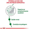 Ração Royal Canin Mini Ageing 12+ Para Cães Idosos De Porte Pequeno - 1Kg