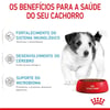 Ração Royal Canin Mini Puppy Para Cães Filhotes De Porte Pequeno - 7,5Kg E 1Kg - 1 Kilo