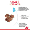 Ração Royal Canin Mother & Babycat Para Gatas Gestantes E Filhotes De 1 A 4 Meses - 1,5Kg - 400 Gramas