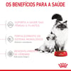 Ração Royal Canin Mother & Babycat Para Gatas Gestantes E Filhotes De 1 A 4 Meses - 1,5Kg - 400 Gramas