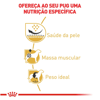 Ração Royal Canin Para Pug Adulto 7,5Kg - 1 Unidade - 2,5 Kilos