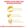 Ração Royal Canin Persian Para Gatos Adultos - 7,5Kg - 400 Gramas