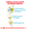 Ração Royal Canin Puppy Shih Tzu Para Cães Filhotes - 2,5Kg - 1 Kilo