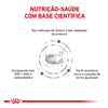 Ração Royal Canin Renal Special Para Cães Adultos Com Insuficiência Renal Crônica - 2Kg - 2 Kilos