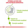 Ração Royal Canin X-Small Ageing 12+ Para Cães Adultos E Idosos - 1Kg
