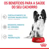 Ração Royal Canin X-Small Junior Para Filhotes De Cães - 2,5Kg - 1 Kilo