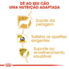 Ração Royal Canin Yorkshire Adultos - 7,5Kg Ou 1Kg - 1 Kilo