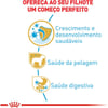 Ração Royal Canin Yorkshire Puppy Para Cães Filhotes - 1Kg - 1 Kilo