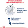 Ração Seca Royal Canin Maxi Ageing 8+ Para Cães Idosos De Porte Grande - 15Kg