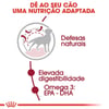 Ração Seca Royal Canin Medium Adult Para Cães De Porte Médio Adultos - 15Kg - 2,5 Kilos