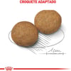 Ração Seca Royal Canin Medium Adult Para Cães De Porte Médio Adultos - 15Kg - 2,5 Kilos