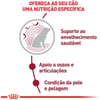 Ração Seca Royal Canin Medium Ageing 10+ Para Cães Idosos De Porte Médio - 15Kg