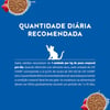 Ração Úmida Cat Chow Adultos Carne Ao Molho - 85G